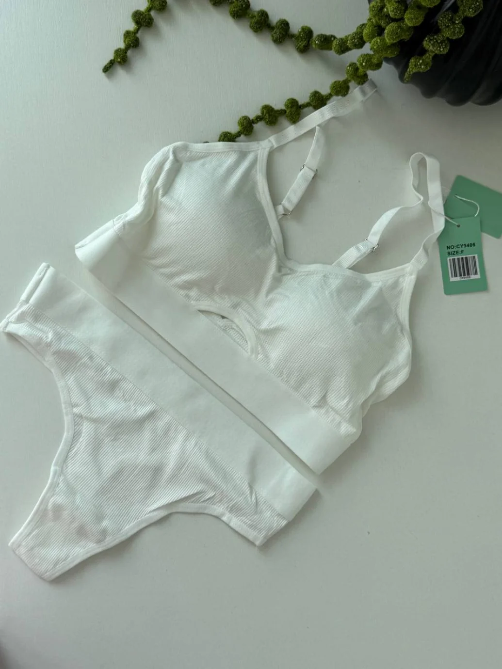 Комплект жіночої білизни (топ+трусики) зі вставкою білий, one size 9486